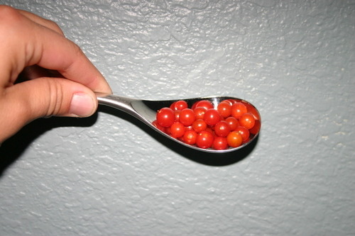 neogeotorpedo:  THERE ARE TOMATOES THE SIZE OF A PEA CALLED “SPOON TOMATOES” PLEASE LOOK AT THIS    THEY ARE IN FACT THE WORLDS SMALLEST TOMATO AND YOU CAN BUY THE SEEDS HERE AND HERE.                         