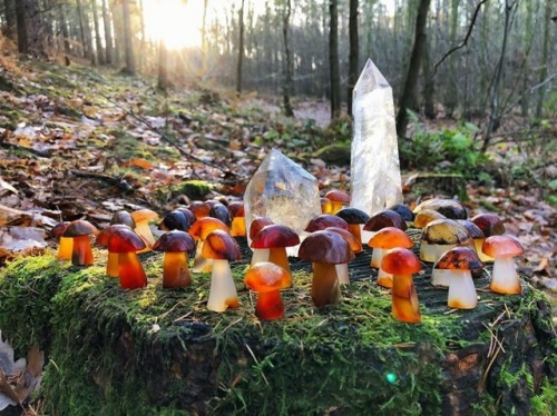 sosuperawesome:Crystal MushroomsKrystal Realm on EtsySee our #Etsy or #Crystals tags