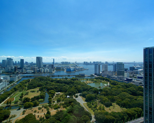 Green Garden in Tokyo Metropolitan by Active-U on Flickr.