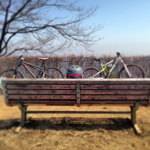 beefmtb: mizunyangさんのInstagram