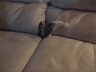 sizvideos:  Kitten in the couch - Video 