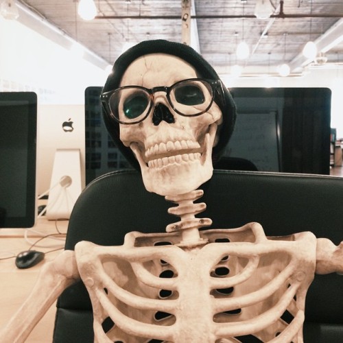 PHONOGRAPHY - “omgliterallydead” This skeleton is basically any Girl on instagram.  Meet