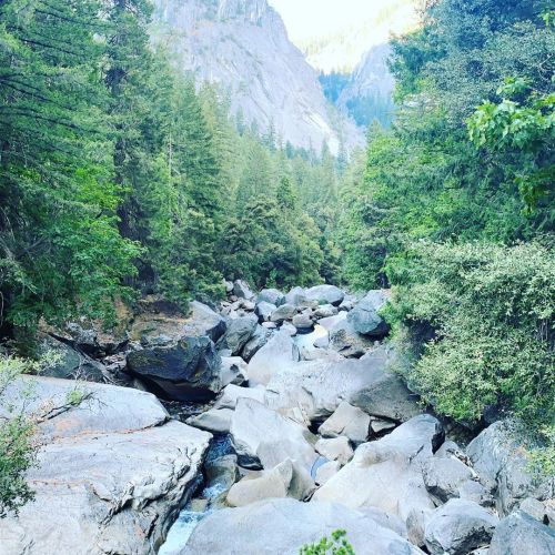 #yosemitenationalpark (at Yosemite National Park) www.instagram.com/p/CFN8-pDJYmE/?igshid=1j