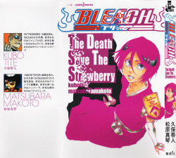 jirouchan:  Illustrations from “The Death Save the Strawberry” Bleach novel (✿ ♥‿♥) 