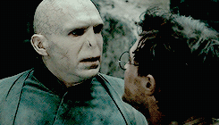 remusjohnslupin:  Harry then did something that was both very brave and very stupid.