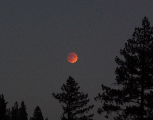 storyoftheviper:  Full Moons 2015