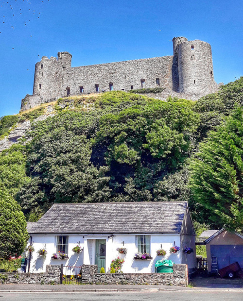 lovewales:Harlech Castle  |  by Hefin Owen