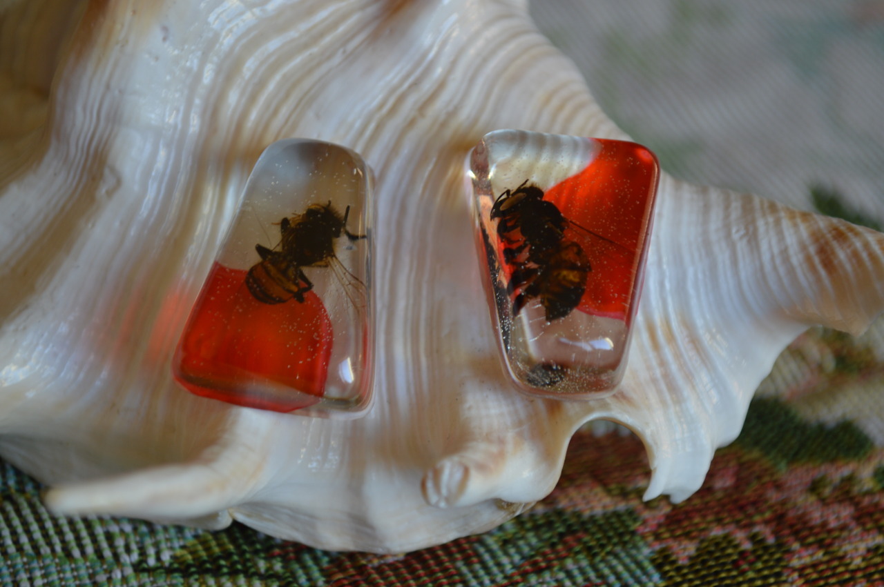 vultureshop: Honey bees preserved in resin.   Don’t forget Free Shipping for
