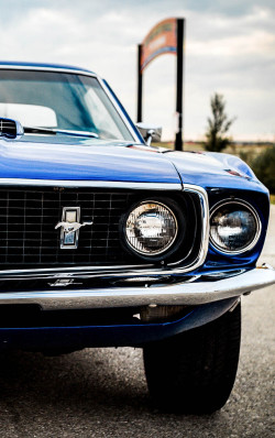 h-o-t-cars:  Ford Mustang | Source 