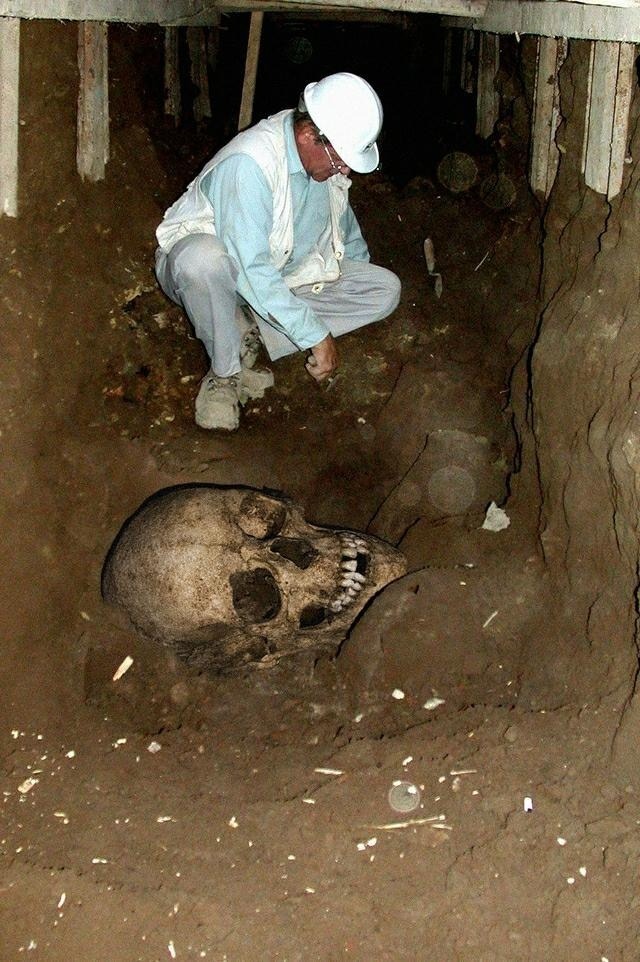 This giant skull was discovered in the India Desert in an area called the Empty Quarter. 