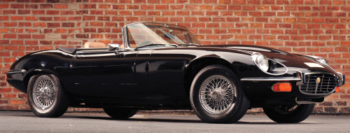 carsthatnevermadeitetc:  Jaguar E-Type Series