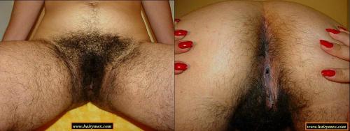 I hope you can join Hairymex.com to enjoy real Hairy Amateurs from Latin America