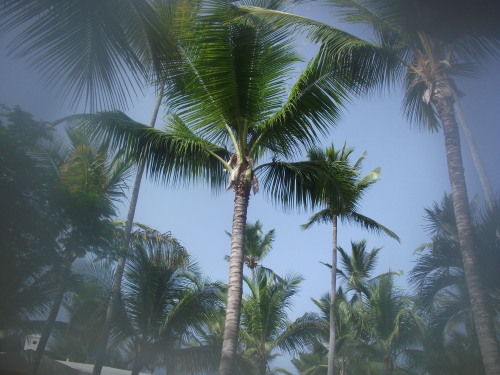 yamatar0: August-‎04-‎10vacayyamataro