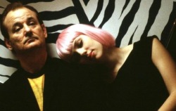 -Laluca-:  Lost In Translation