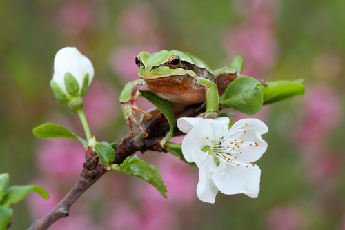 end0skeletal:spring by lisans
