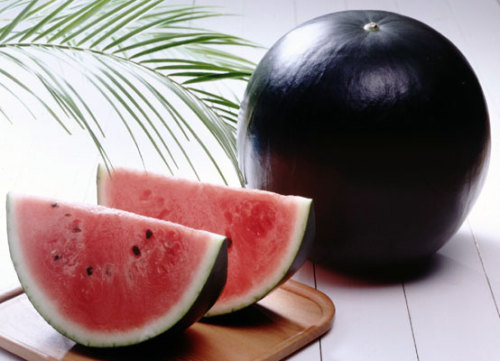 lyonnnss: whoisjasperback: sixpenceee:Black Watermelon: The Dansuke watermelon is the most expensive