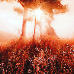 tumblr photo dudebronews 4