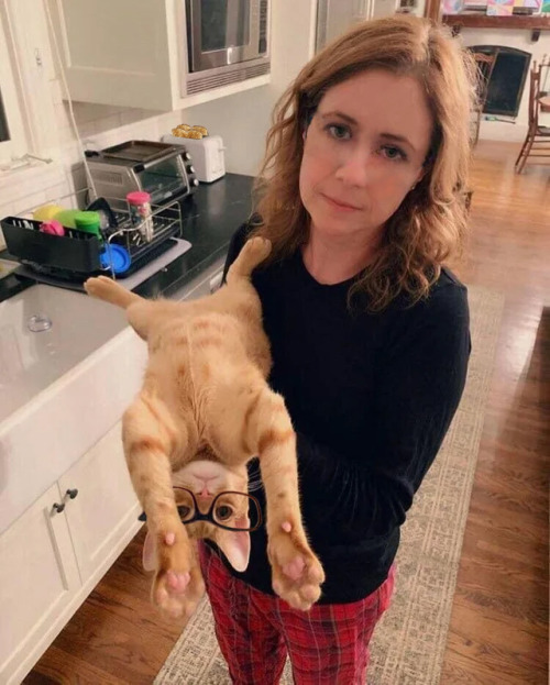 Photoshop Battles: Jenna Fischer and her cat | sources