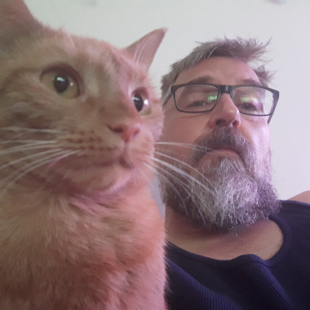 Boys With Beards With Cats