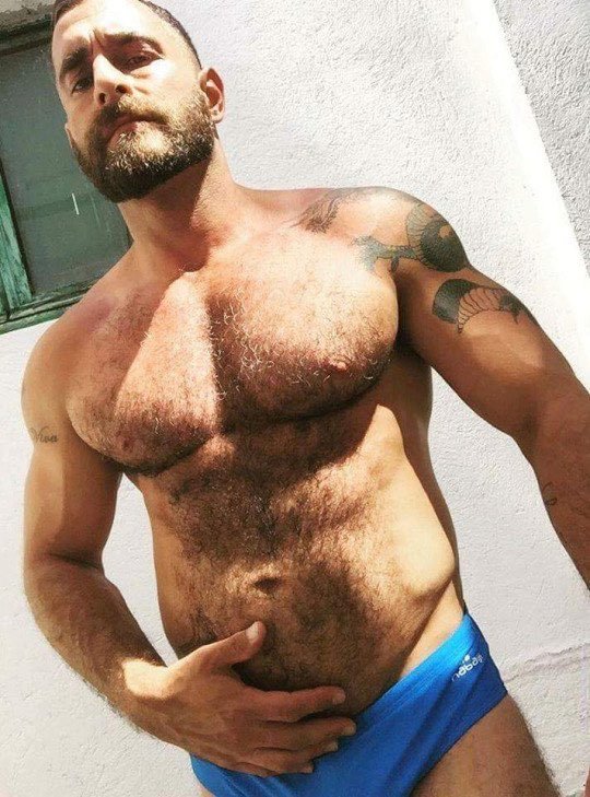Hungry for Bears