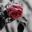 fulminare-within-her-soul