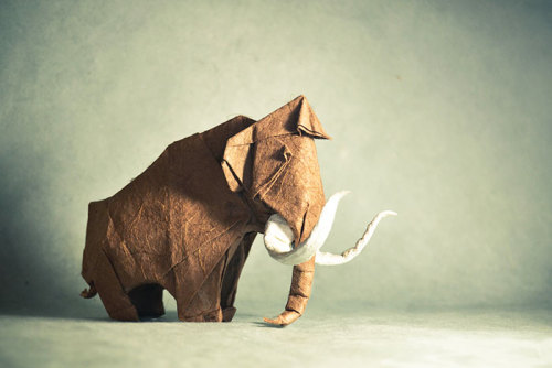 awesome-picz:Stunning Works Of Origami Art To Celebrate World Origami Day.