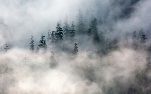 itakephotosofallthethings:Time Will TellSnoqualmie Pass, WA