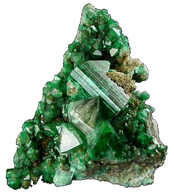 Green Adamite