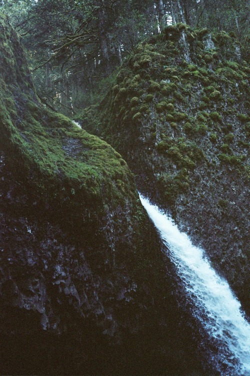 northwoodswonder:+