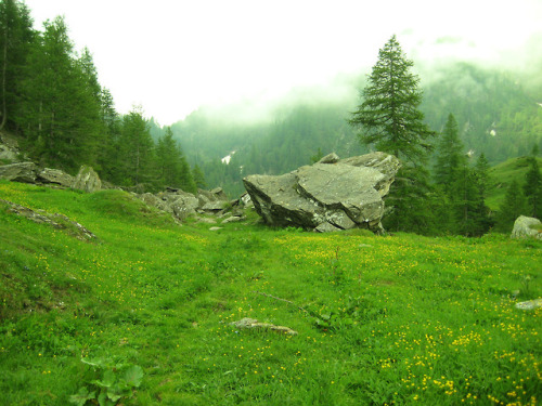 Valle della Legna - Colle Fricolla by Andrea Camoletto