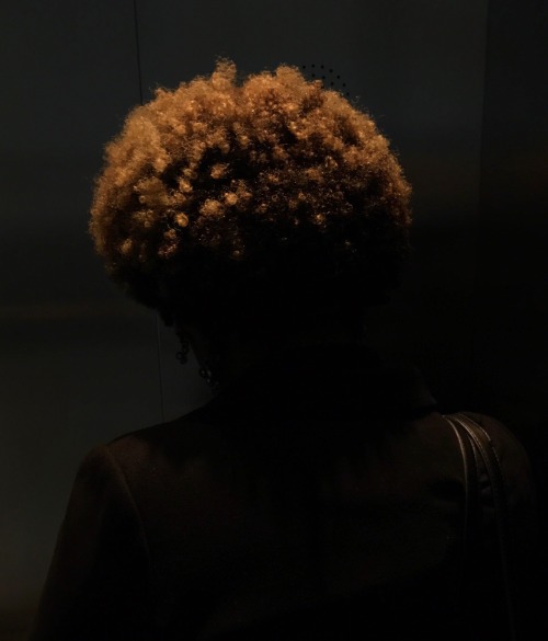 XXX forestgreenlesbian:Elevator Series (2018), photo