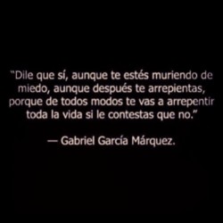 leeimaginayserasfeliz:  http://leeimaginayserasfeliz.blogspot.com/ Twitter: @LeeImagina Instagram: @lee_imagina #frases #letras #libros #Gabriel #Garcia #Gabo #Literatura 