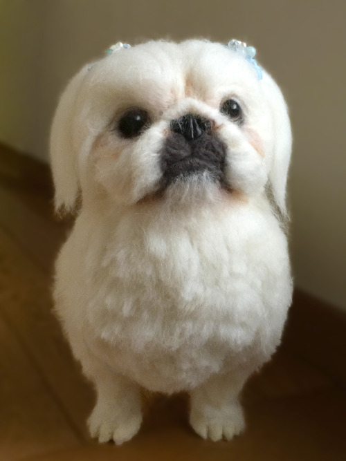 It is a pi-chan of fluffy Pekingese.Recently, I have gone to heaven.I made a needle felt at the requ