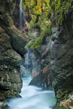 woodendreams: (by Andreas Resch) 