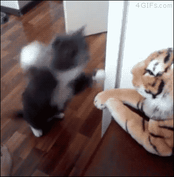 u wot m8? [video]