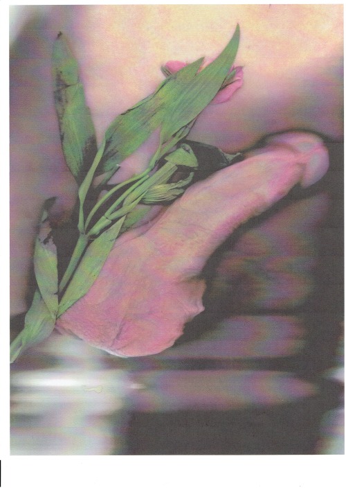 joshtaylorartist:  May Flower_Genitals & FlowerMay 2014 Joshua Taylor Excited about the new scanner we just hooked up in our apartment! 