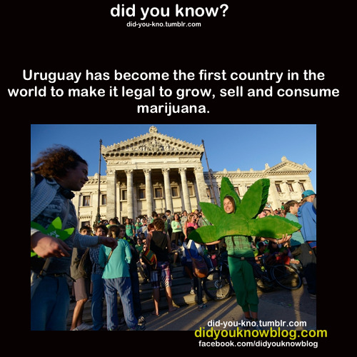 did-you-kno:  Source