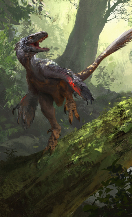 man-creates-dinosaurs: Packaging art by Jonathan Kuo for David Silva’s Beasts of the Mesozoic: Rapto