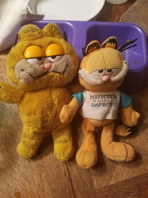 I have a BUNCH of Garfield plushes due to a Garfield obsession I had when I was 9. Unfortunately the