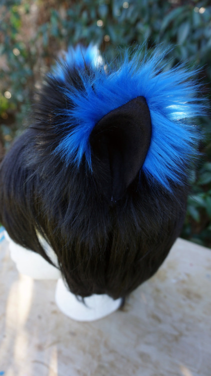  Cat/Fox Headband Ears Another black set with cobalt tips! Love how the shape turned out :DSee somet