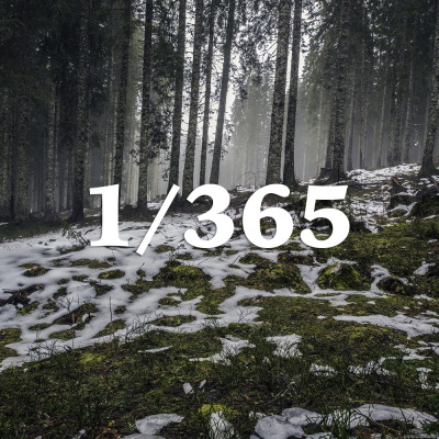 Page 1 Of 365 Tumblr