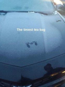 ayungbiochemist:  How does your car get tea bagged by a baby… In freezing weather…