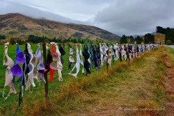 sixpenceee:  Although it looks like a women’s liberation monument from the 1960s, the Cardrona Bra Fence in New Zealand was created, or at least set in motion, in 1999. Somewhere between Christmas and New Year’s Eve, four bras appeared mysteriously