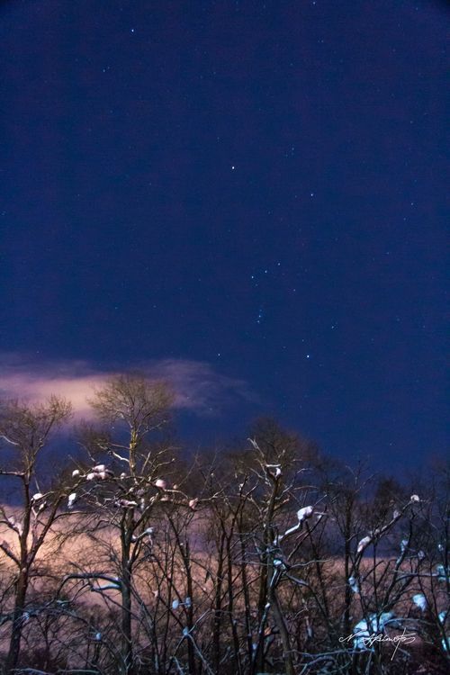 Porn Pics gravitationalbeauty:  Sky of winter Orion