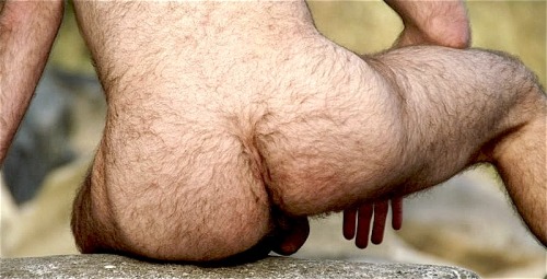 satyriasis-femme:  Alpha male… 