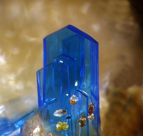 themagicfarawayttree: linarite, germany, mineral-forum.com