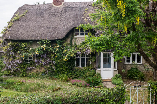 robertmealing:Stone Cottage, Oxford