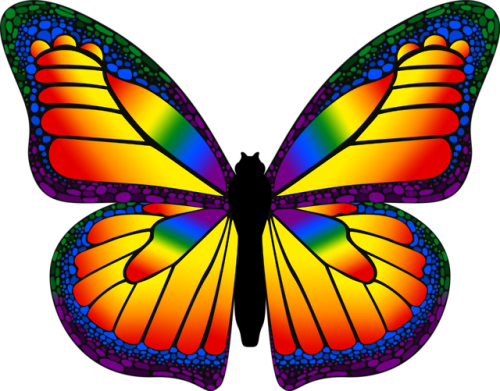 emilylaj:For Pride Month, I made some butterflies with the LGBTQIA+ colors! The black represents peo