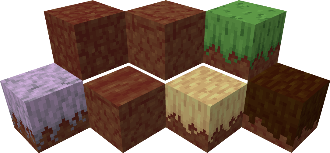 All types of dirt blocks in Minecraft