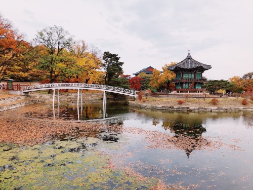 Autumn at Gyeongbokgung Palace’s Hyangwonjeong Pavilion.